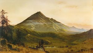 Mount Tamalpais from San Rafael • 1870 